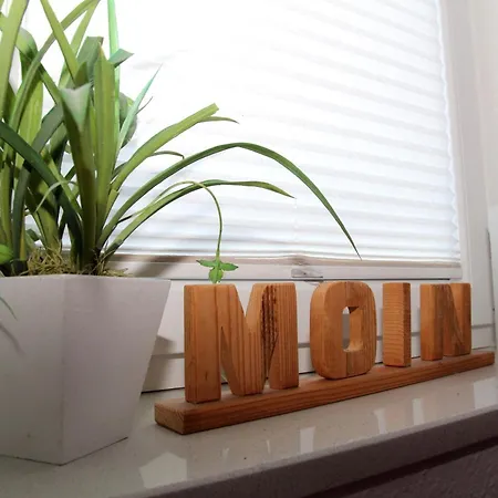 펜션 Achterhook 노르덴